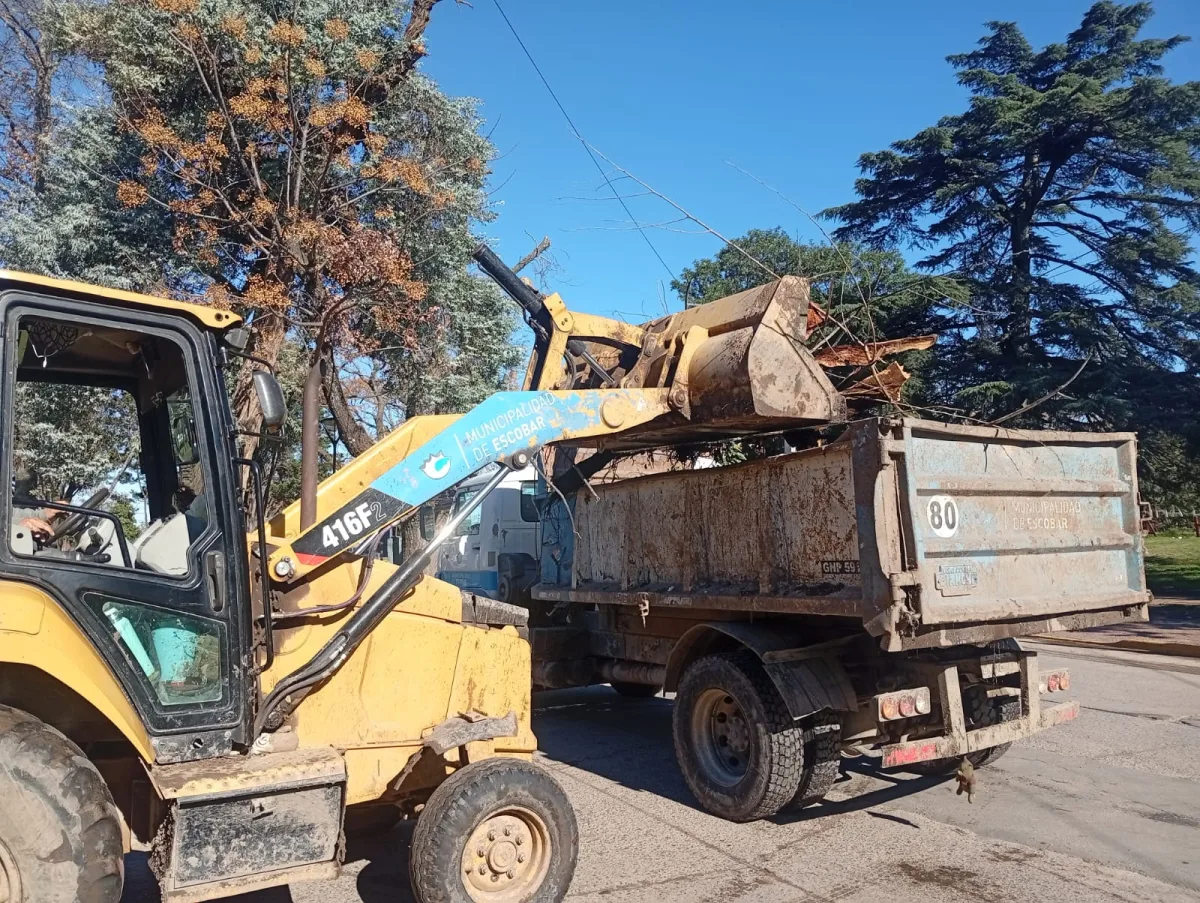 Cronograma de recolección de ramas en Escobar para agosto y septiembre