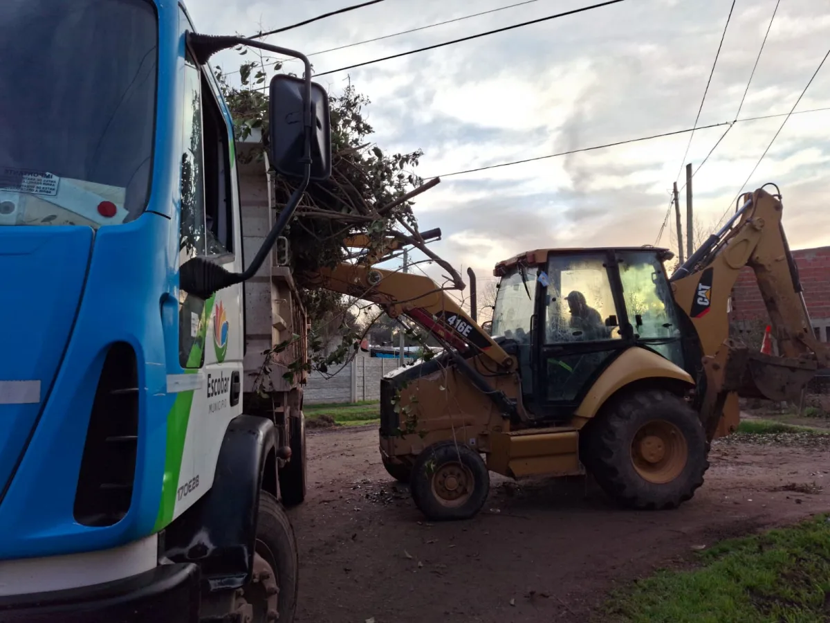 Cronograma de recolección de ramas en Escobar para agosto