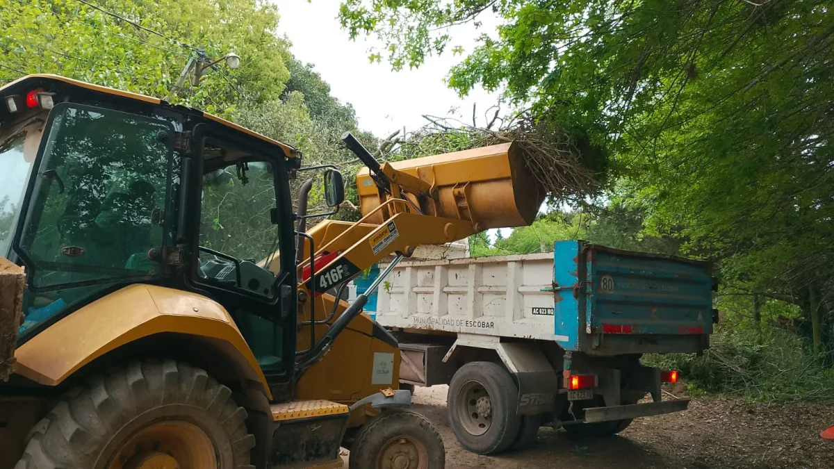 Cronograma de recolección de ramas en Escobar para noviembre