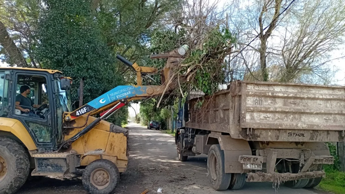 Cronograma de recolección de ramas en Escobar para septiembre