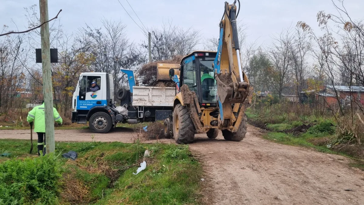 Cronograma de recolección de ramas en Escobar