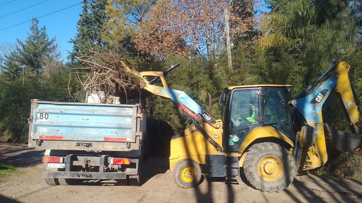 Cronograma de recolección de ramas en Garín para julio