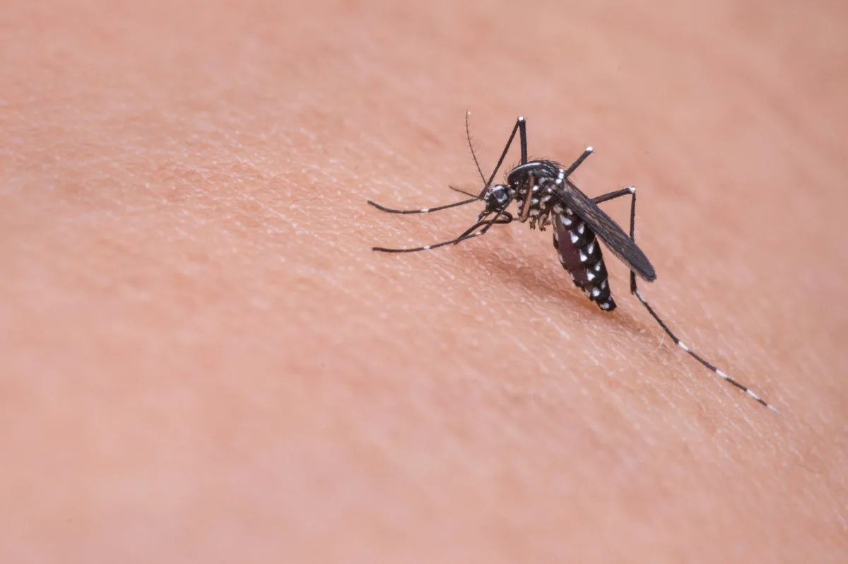 Escobar intensifica la vacunación contra el dengue ante El Niño