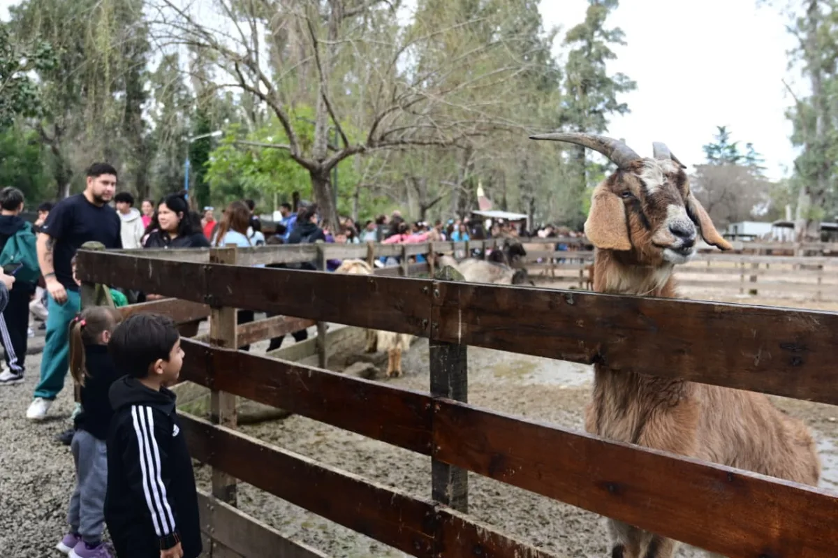 Más de 45.000 visitantes en el noveno aniversario de Don Benito