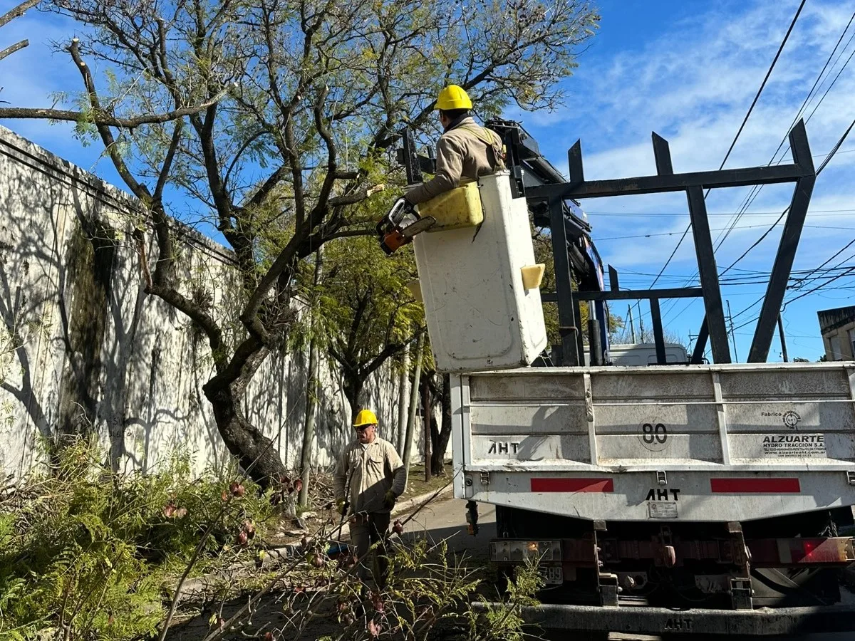 Nuevo cronograma de retiro de ramas y servicio de volquetes en Luján