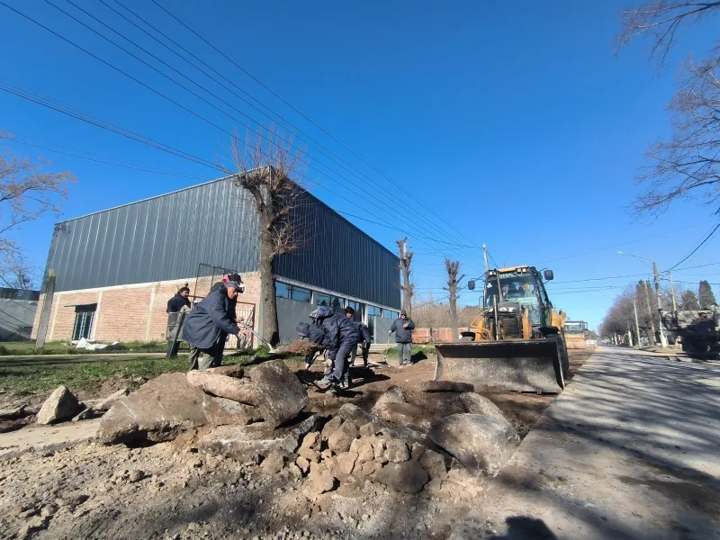 Reparación de calle Libertad mejora la circulación en la zona