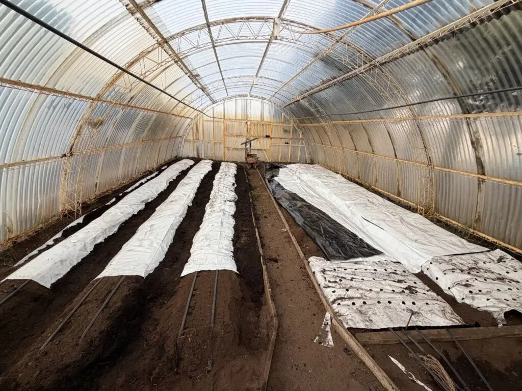 La Chacra Agroexperimental “Germán Asencio” comenzará a operar en Río Grande