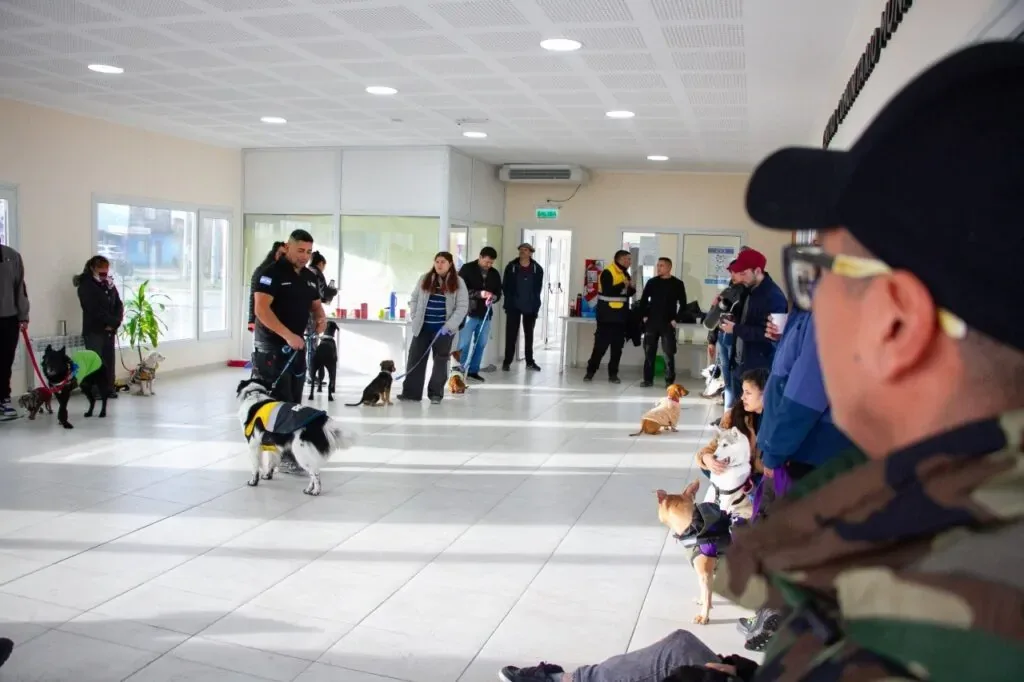 Río Grande realizará jornada sobre tenencia responsable de mascotas