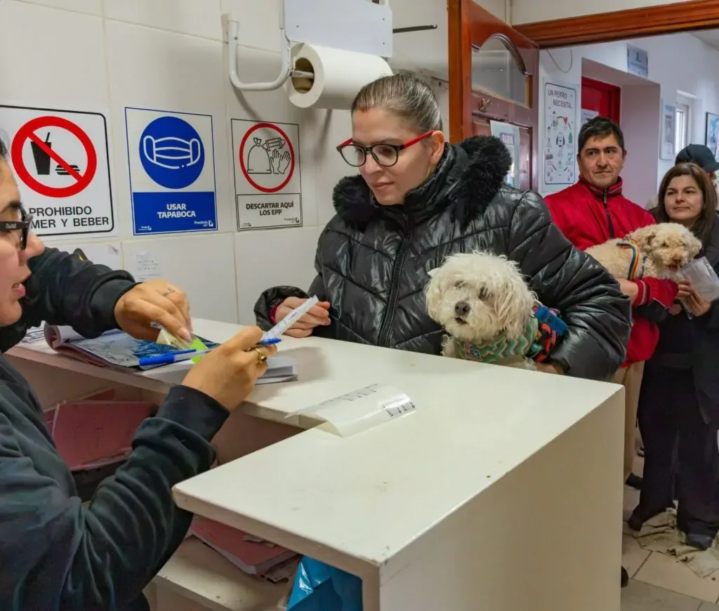 Río Grande realizó jornada de vacunación y chipeo para mascotas