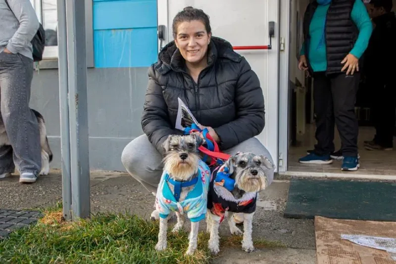 Vacunación, chip y adopción de mascotas en Río Grande este sábado