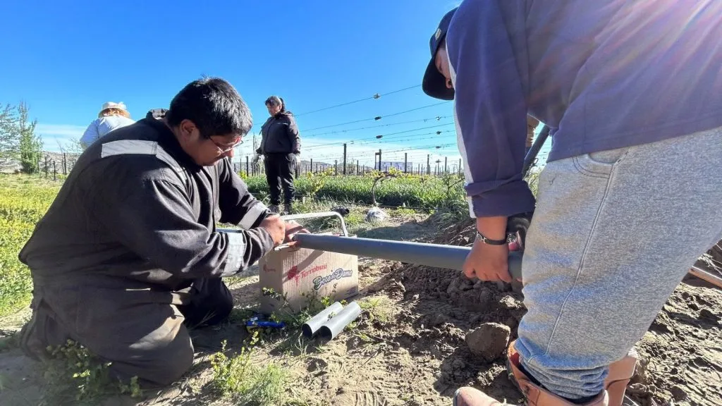Nuevo sistema de riego en Punto Orgánico para optimizar viñedo
